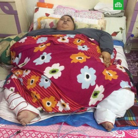 Самая толстая женщина в мире