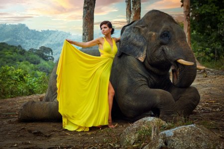 Женщина слон