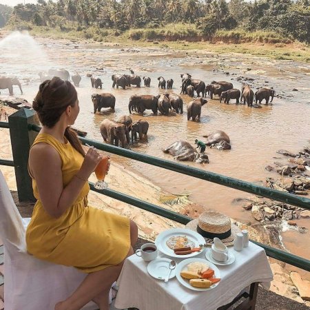 Sri Lanka Инстаграм