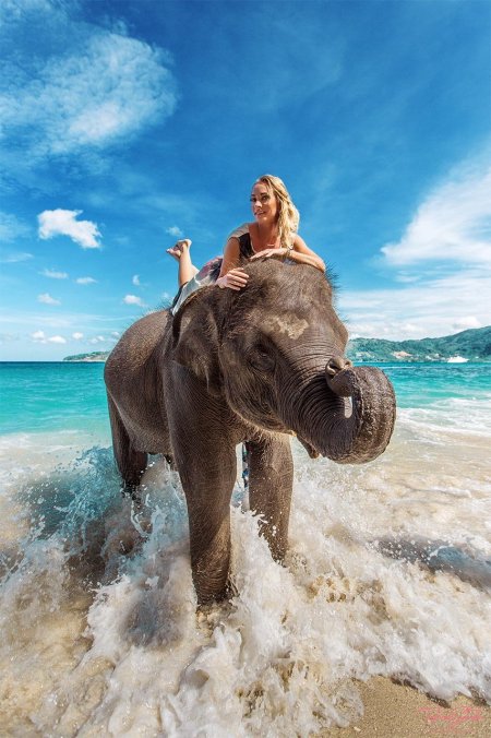 Верхом на слоне