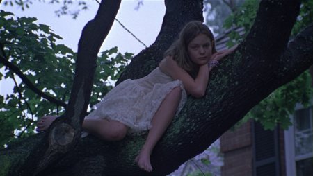 Девственницы-самоубийцы / the Virgin Suicides (1999)