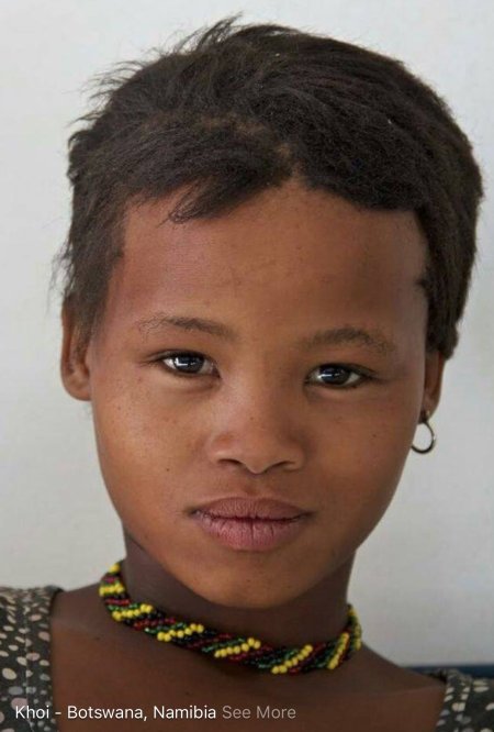 Бушмены и готтентоты