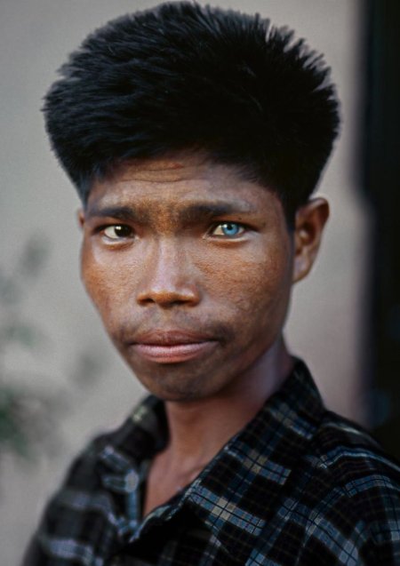 Стив МАККАРРИ