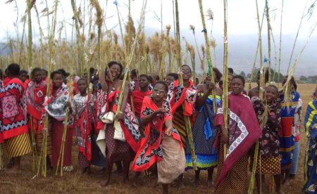 Племя зулусов