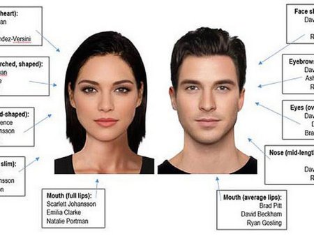 Идеальное лицо мужчины и женщины