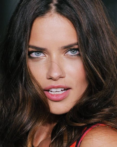 Ариана и лиса