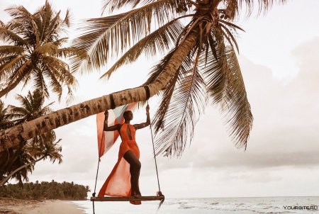 Под пальмой