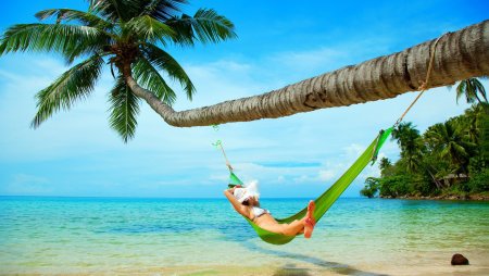 Гамак на Пальме