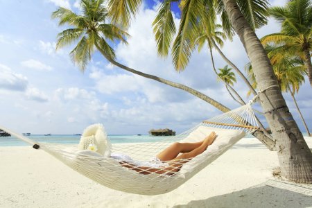 Гамак под пальмой