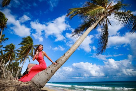 Девушка среди пальм