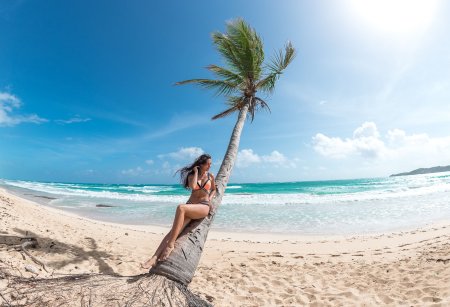 Девушка на Пальме