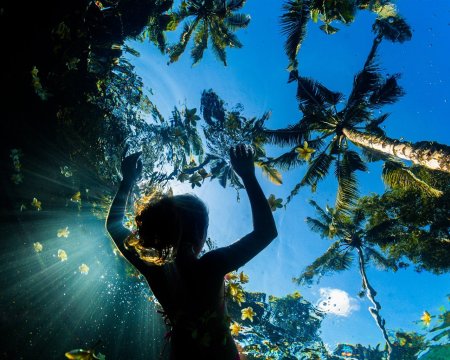 Тропические воды