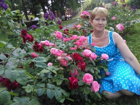 Досуг Дмитров Махалина