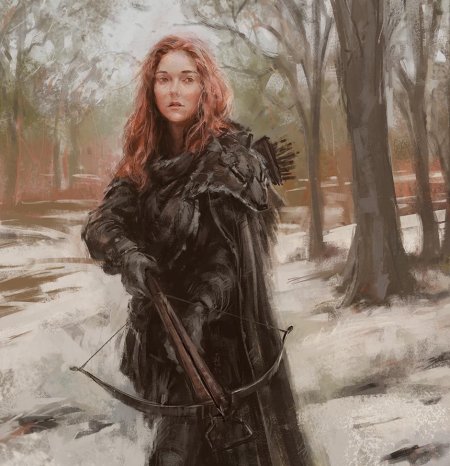 Снежный Странник Катарина Фишер