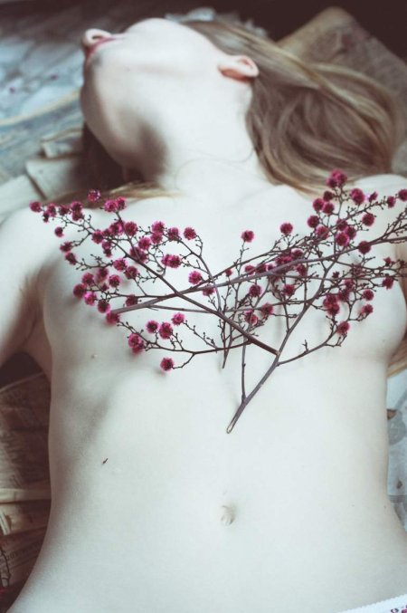 Эстетика тела девушки