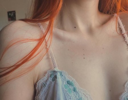 Рыжая домашнее