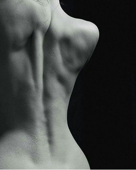 Красивая спина