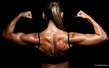 Женский бицепс