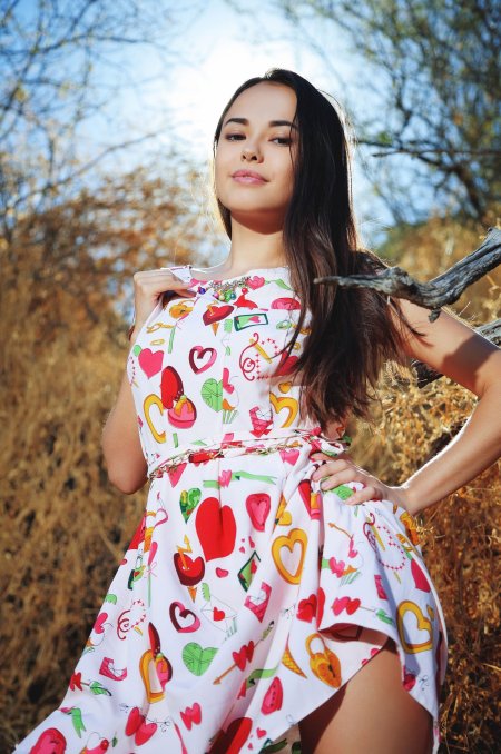 Li Moon модель