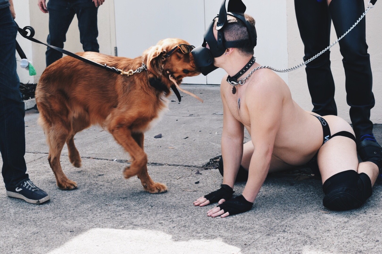 Bdsm human pet