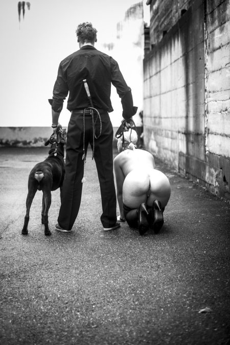 Рабыня собачка на поводке