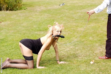 Рабыня собачка на поводке