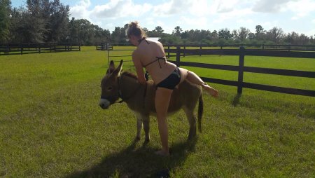 Женщина верхом