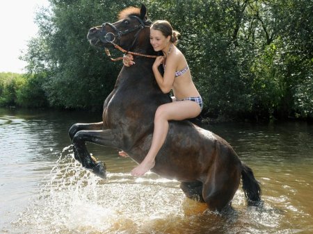 Девушка верхом на лошади