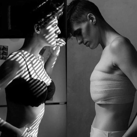 Рейн дов модель