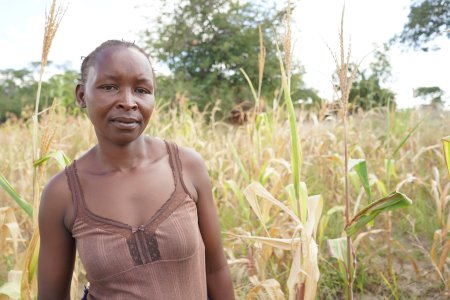 Черная зимбабвийская девушка