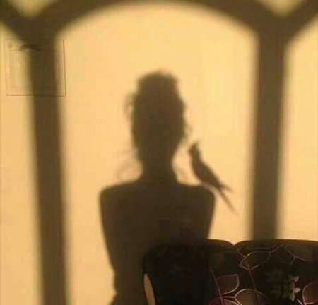 Фото тень девушки