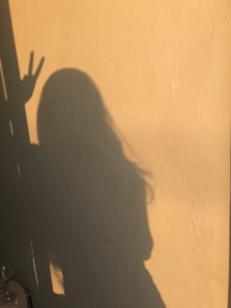 Тень девушки на стене