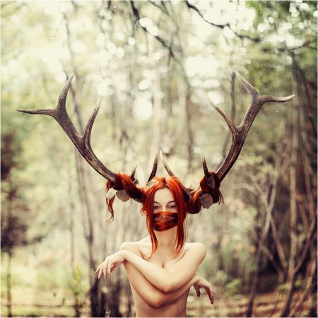 Илья Кисарадов фотограф