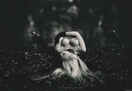 Фотосессия в стиле ню в лесу