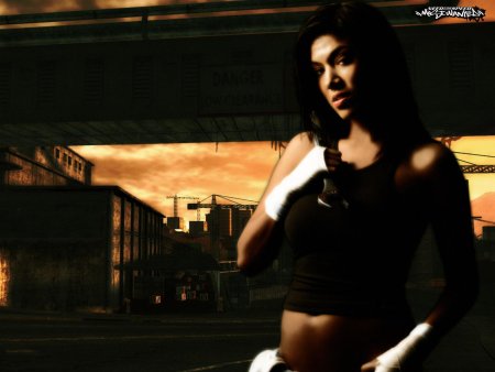 Изабель Диаз need for Speed most wanted