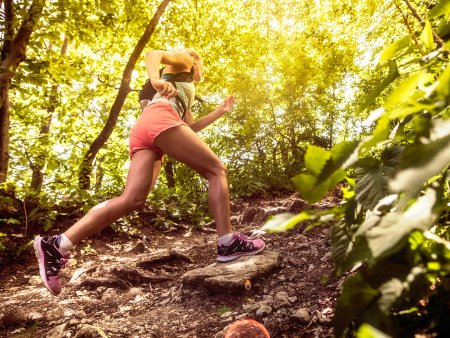 Бегуны в лесу