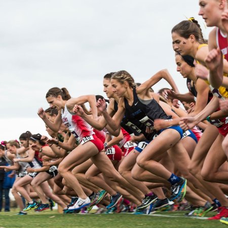 Кросс бег легкая атлетика