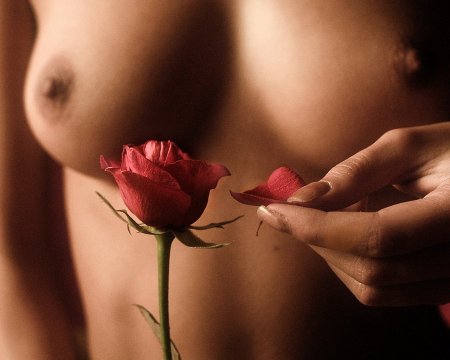 Красивый эротичный цветок