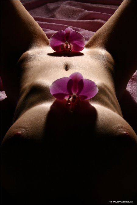 Необычные эротические цветы