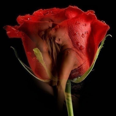 Цветы любовь страсть