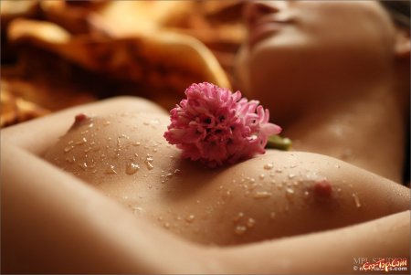 Эротические макро съёмки