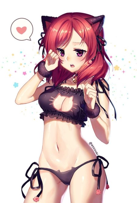 Maki Nishikino Neko