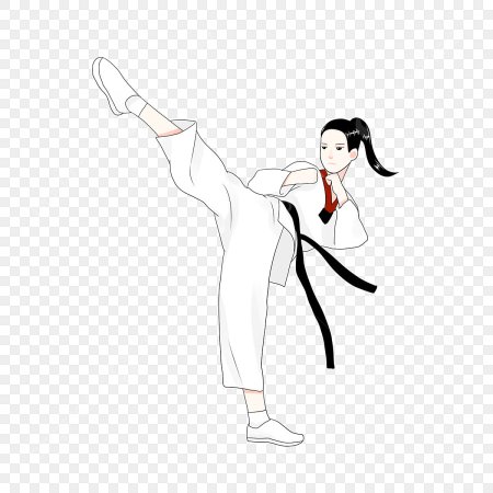 Тхэквондистка рисунок