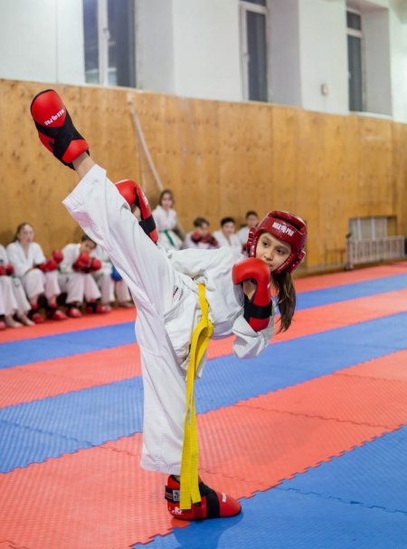 Тхэквондо тренировка