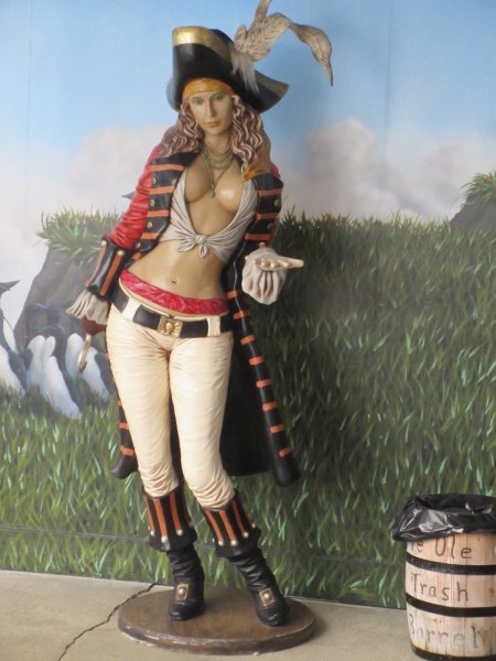 Девушка пират