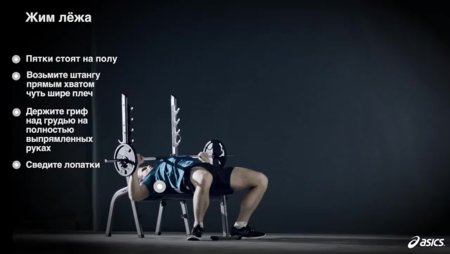 Жим штанги лежа техника выполнения