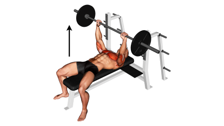 Жим лежа с трубчатыми эспандерами