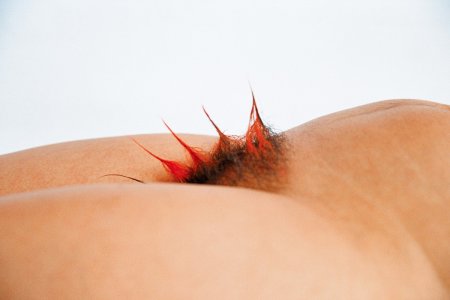 Женский лобок Макросъемка