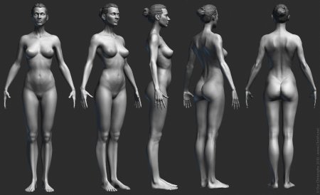 Голое женское тело референс