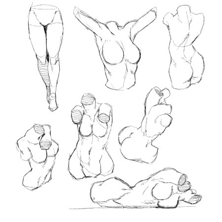 Референс тела для рисования